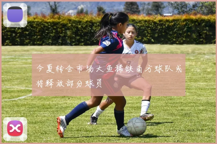 今夏转会市场大鱼稀缺南方球队或将释放部分球员