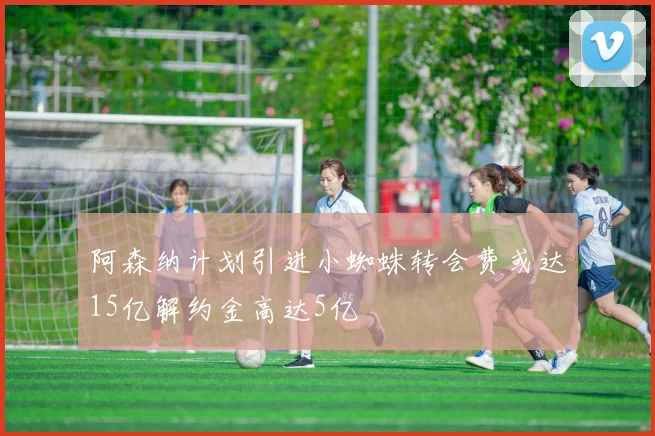 阿森纳计划引进小蜘蛛转会费或达15亿解约金高达5亿
